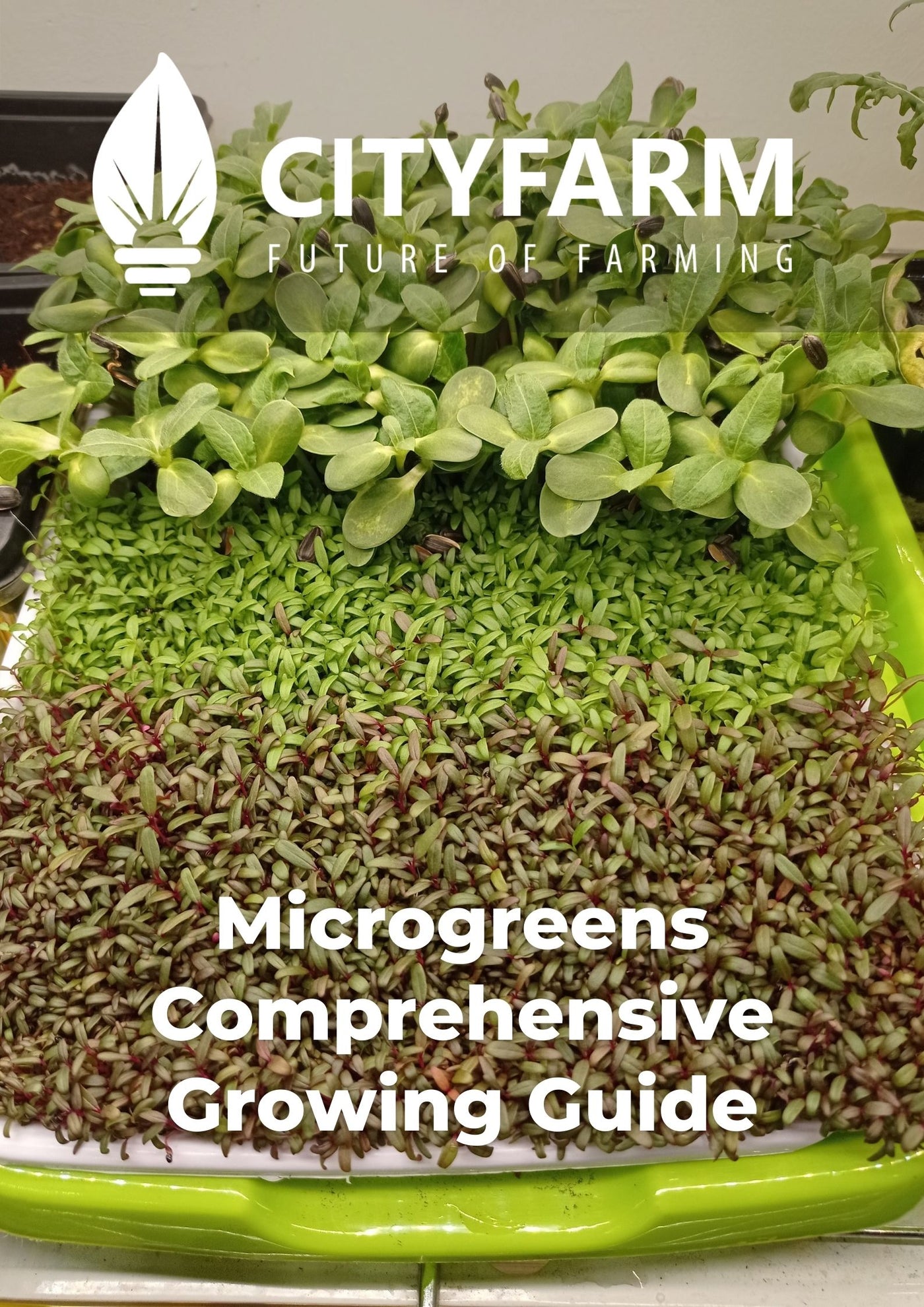 [Guide] Microgreens Comprehensive Growing Guide