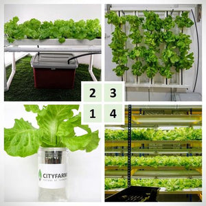 Start your farming journey with our farm set as low as RM9.90