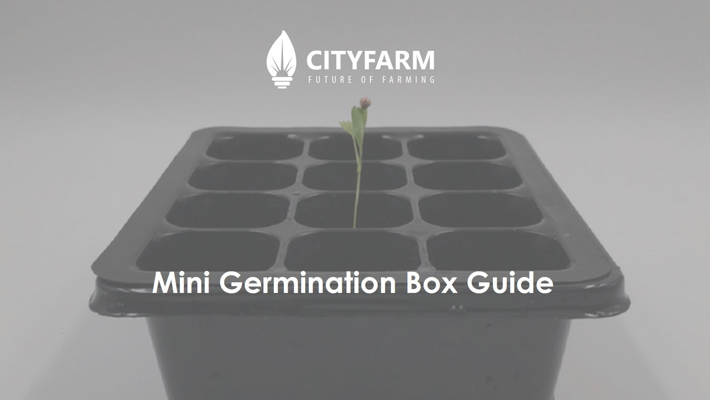 Mini Germination Box Guide