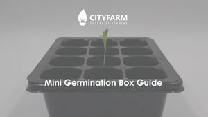 Mini Germination Box Guide