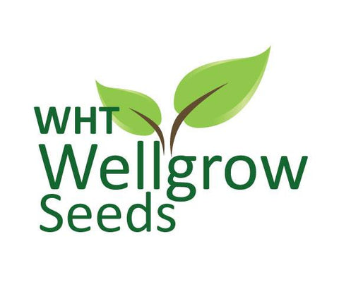WHT Wellgrow Seeds