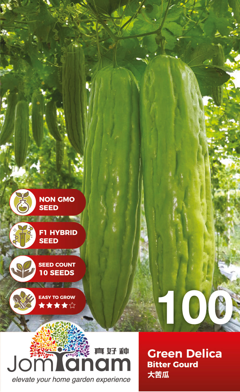 F1 Bitter Gourd Green Delica
