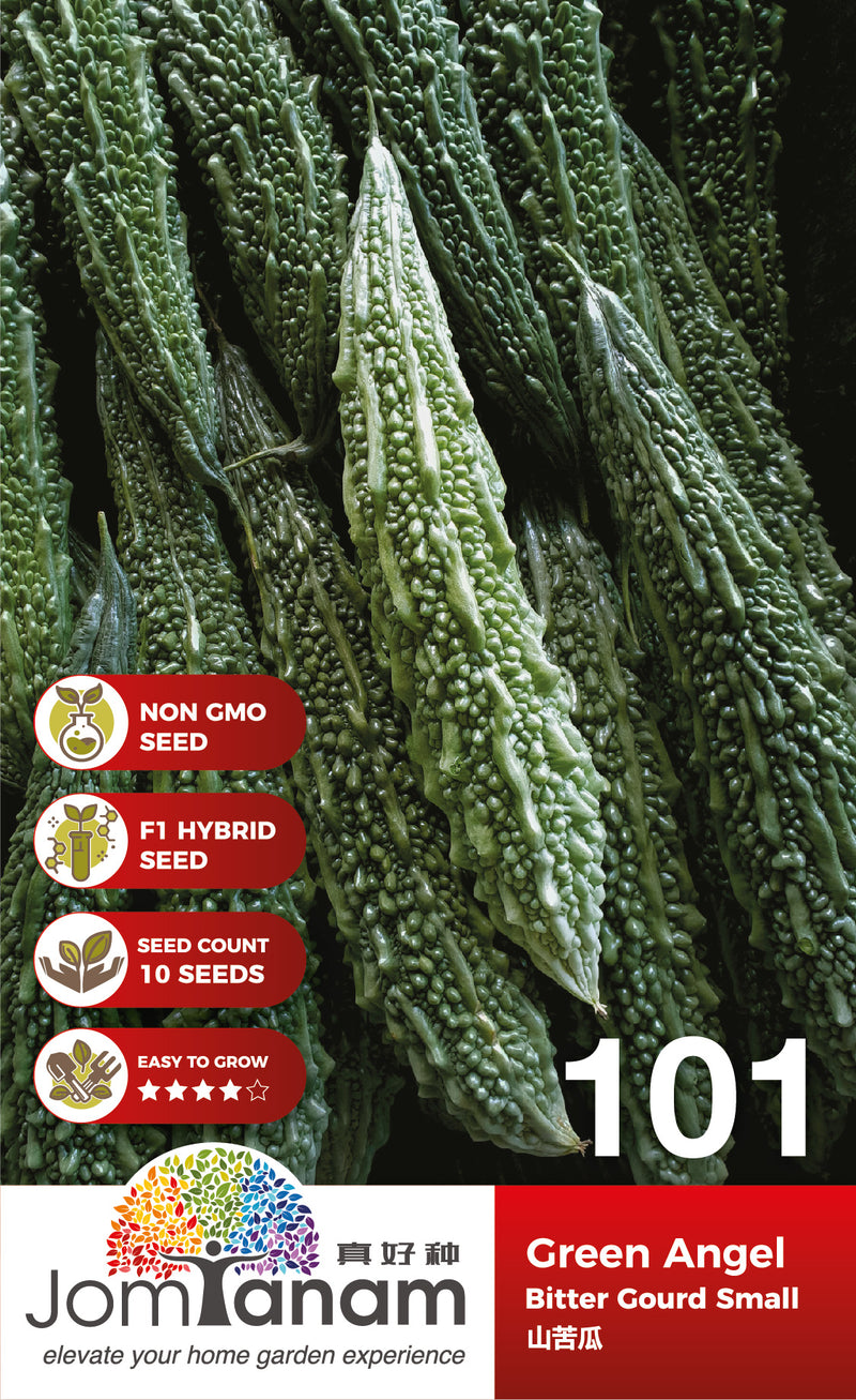 F1 Bitter Gourd Green Angel