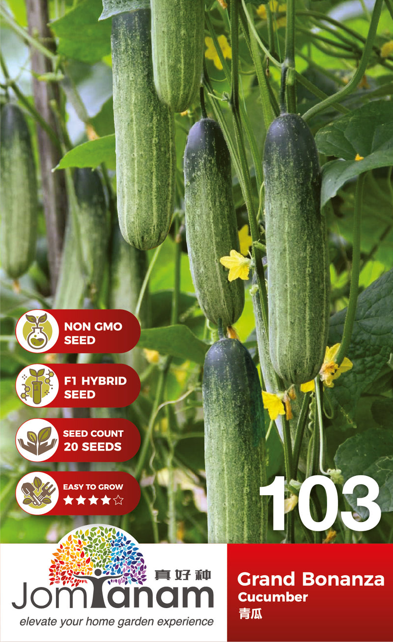 F1 Cucumber Grand Bonanza