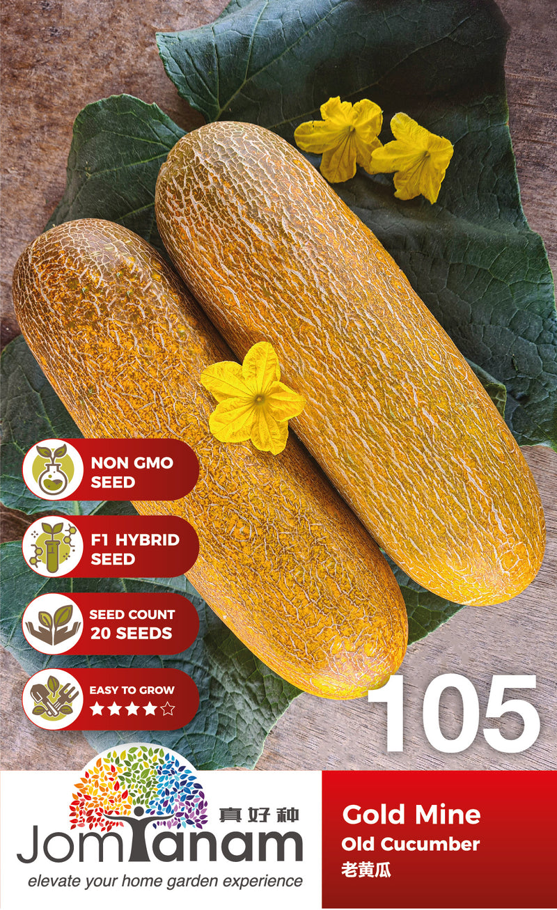 F1 Old Cucumber Gold Mine