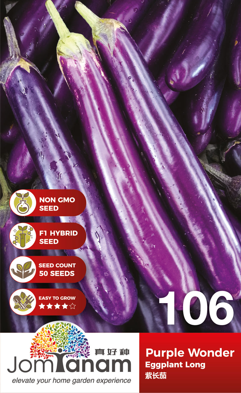 F1 Eggplant Long Purple Wonder