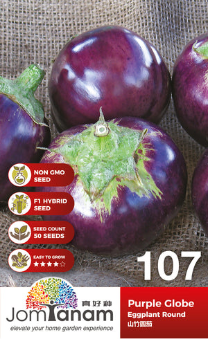 F1 Eggplant Round Purple Globe