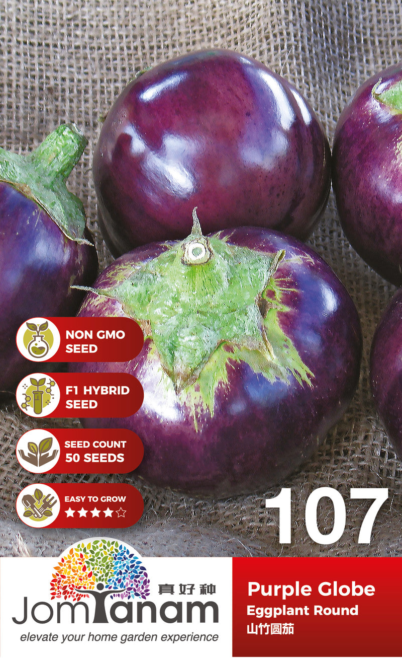 F1 Eggplant Round Purple Globe