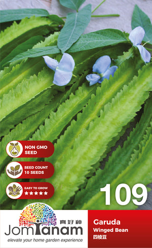 Winged Bean Garuda