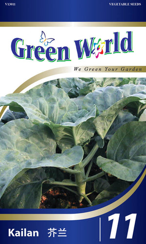 Kale - CityFarm Malaysia - The Urban Farming Expert