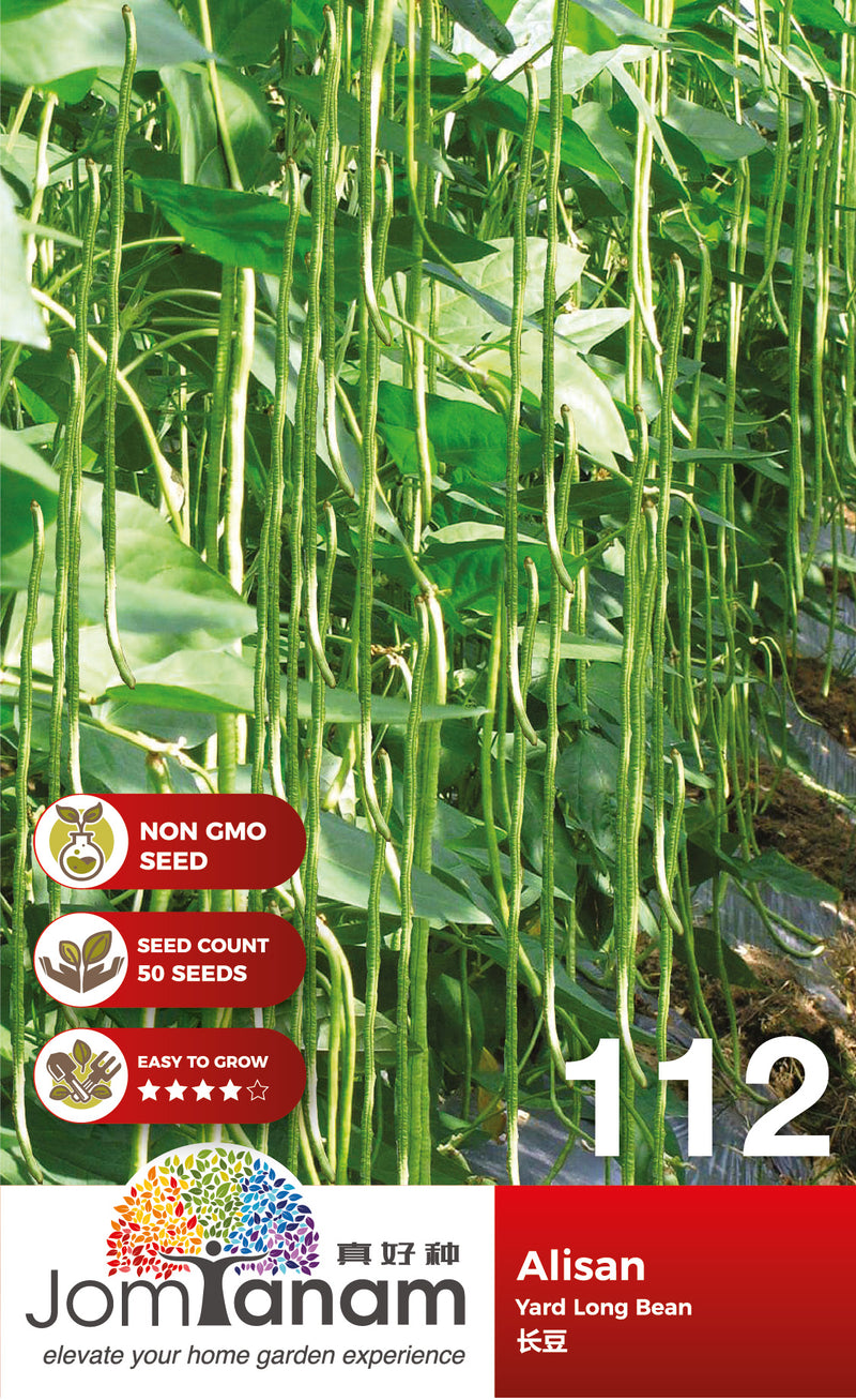 Yard Long Bean Alisan