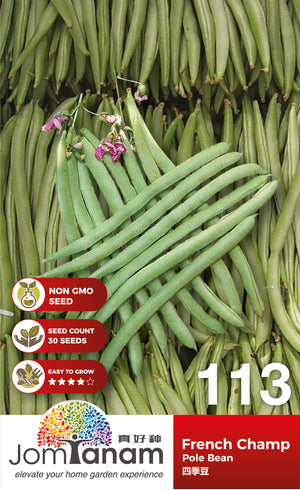 Pole Bean French Champ - CityFarm Malaysia - The Urban Farming Expert