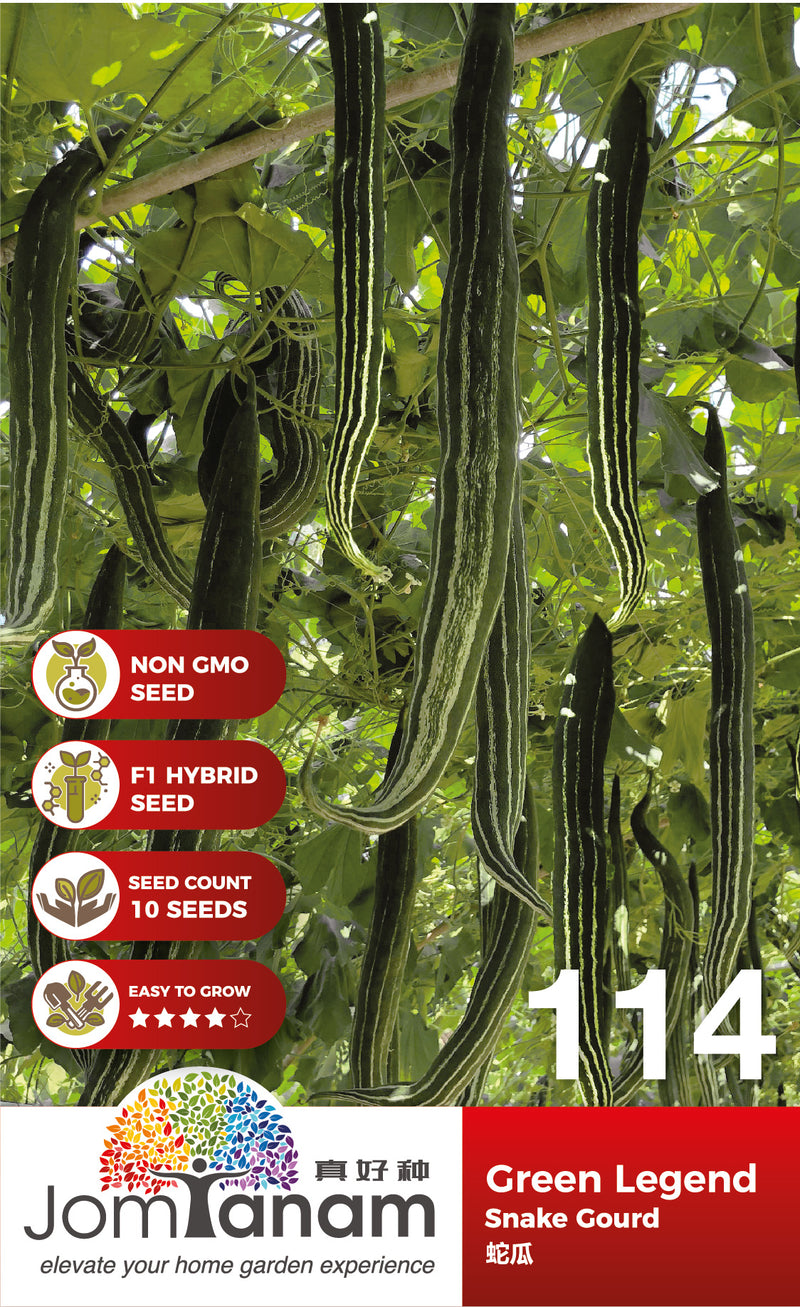 F1 Snake Gourd Green Legend