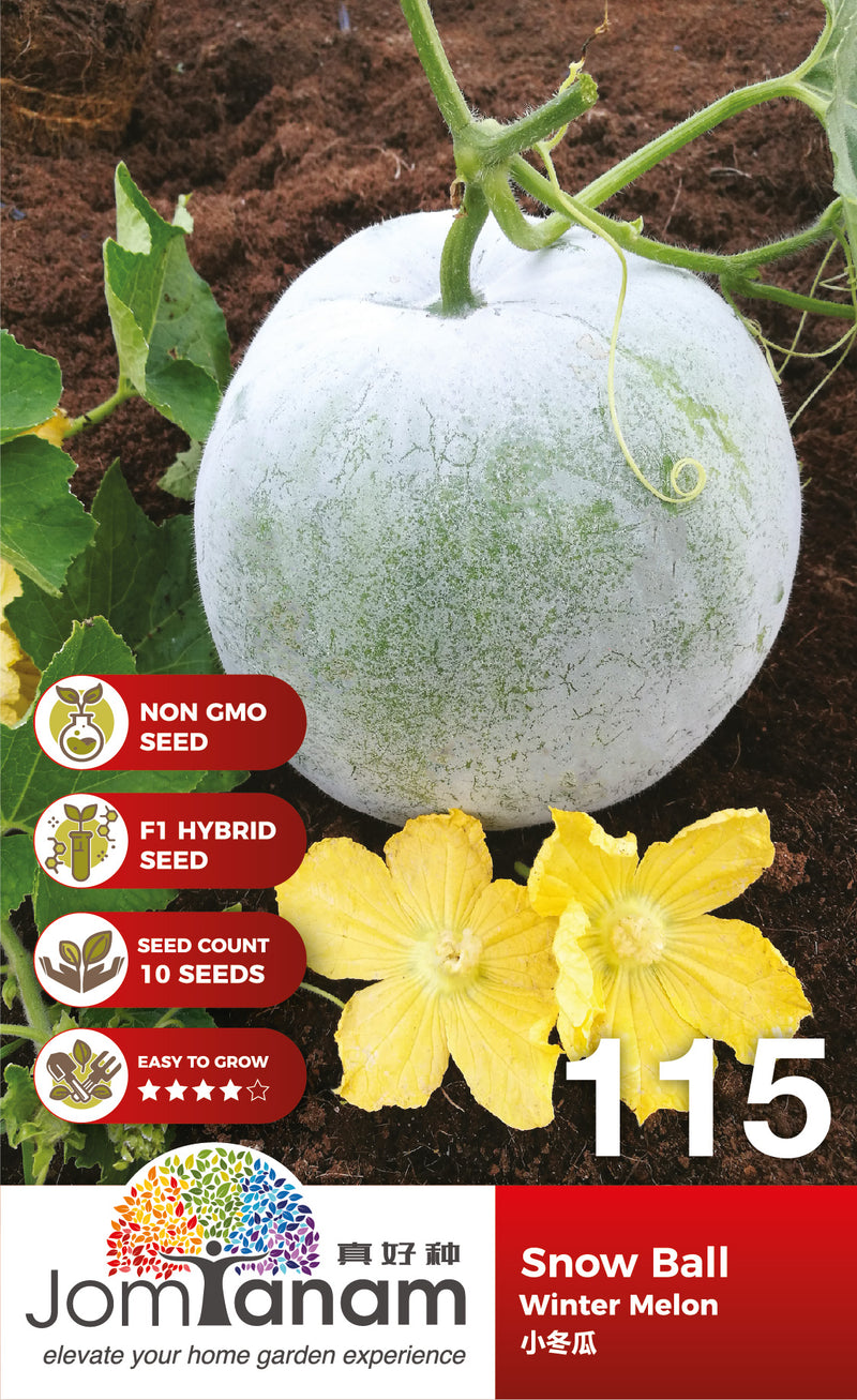 F1 Winter Melon Snow Ball