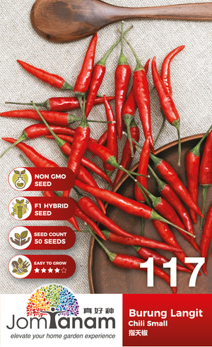 F1 Chili Small Burung Langit - CityFarm Malaysia - The Urban Farming Expert