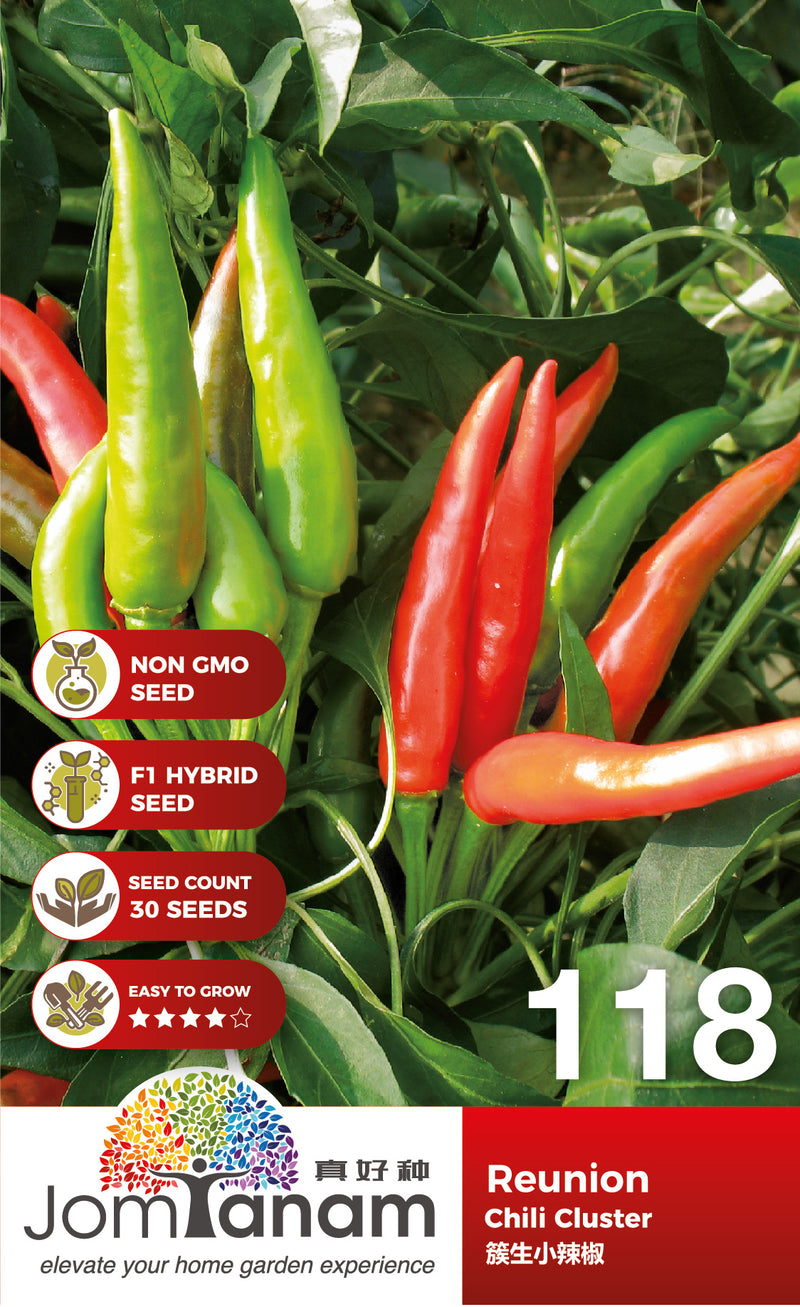 F1 Chilii Cluster Reunion