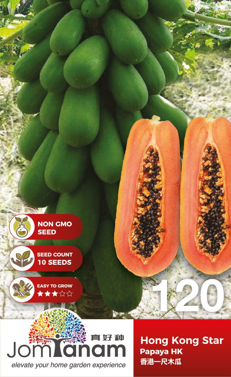 Papaya HK Hong Kong Star