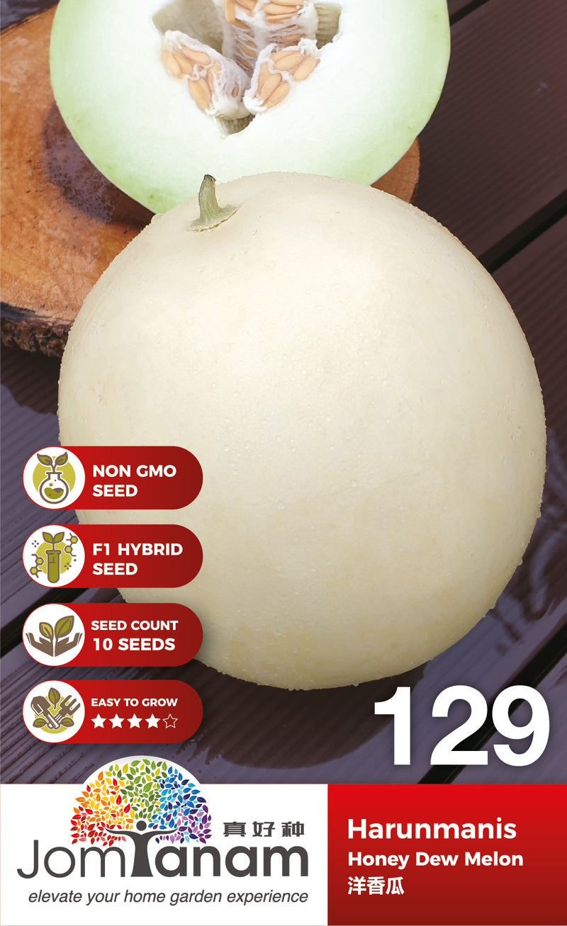 F1 Melon Honey Dew Harunmanis