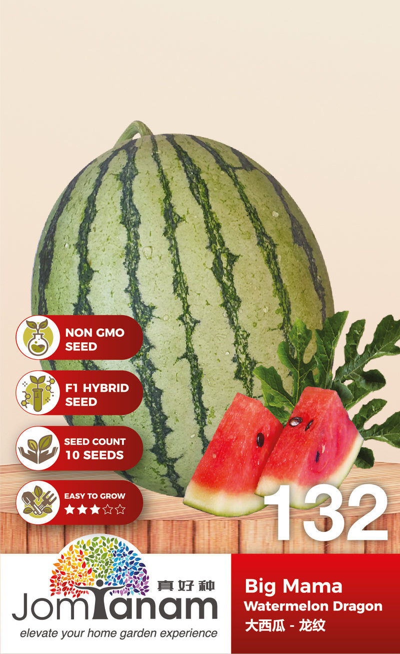 F1 Watermelon Dragon Big Mama