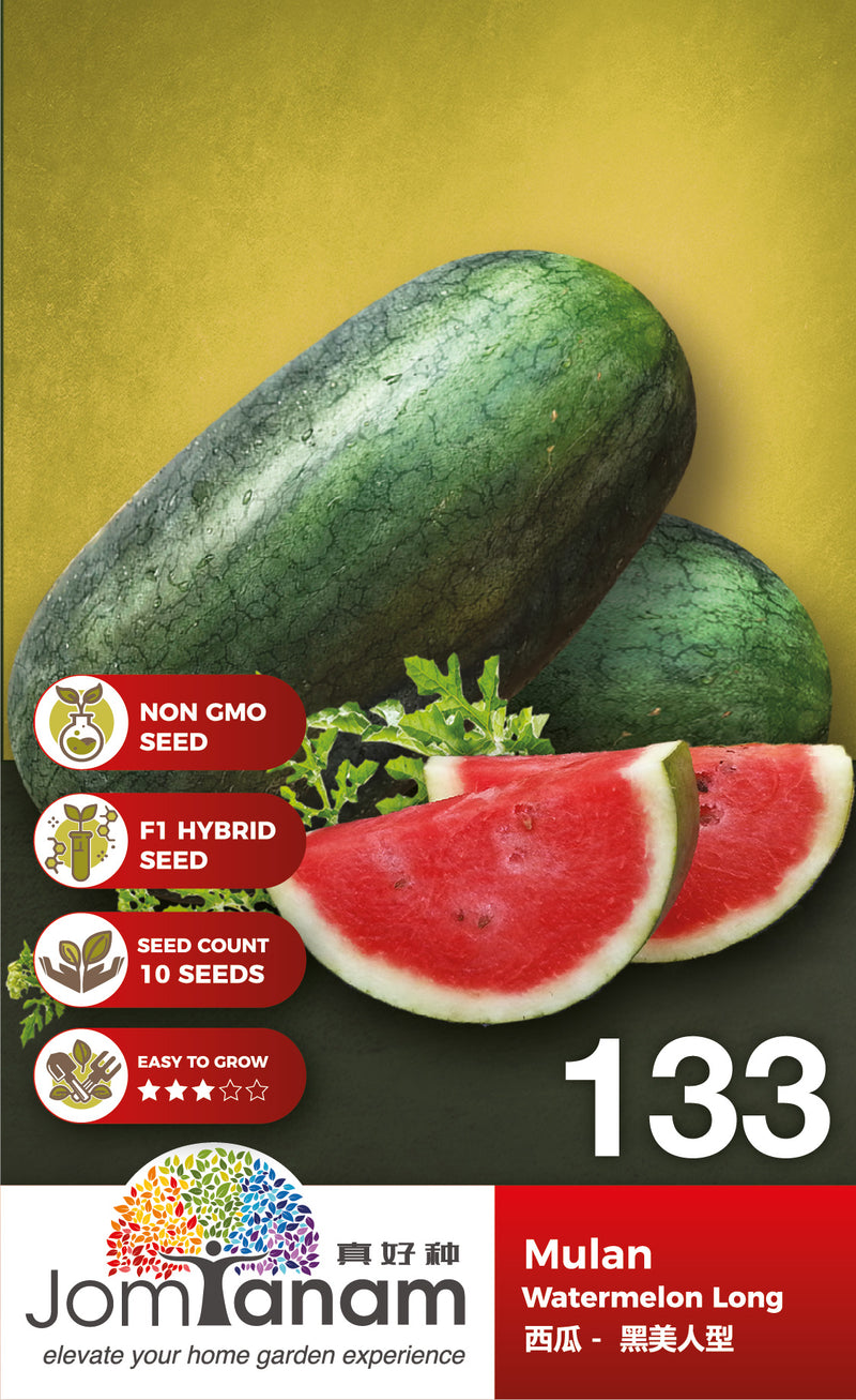 F1 Watermelon Long Mulan
