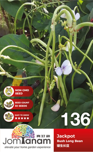 Bush Bean Jackpot