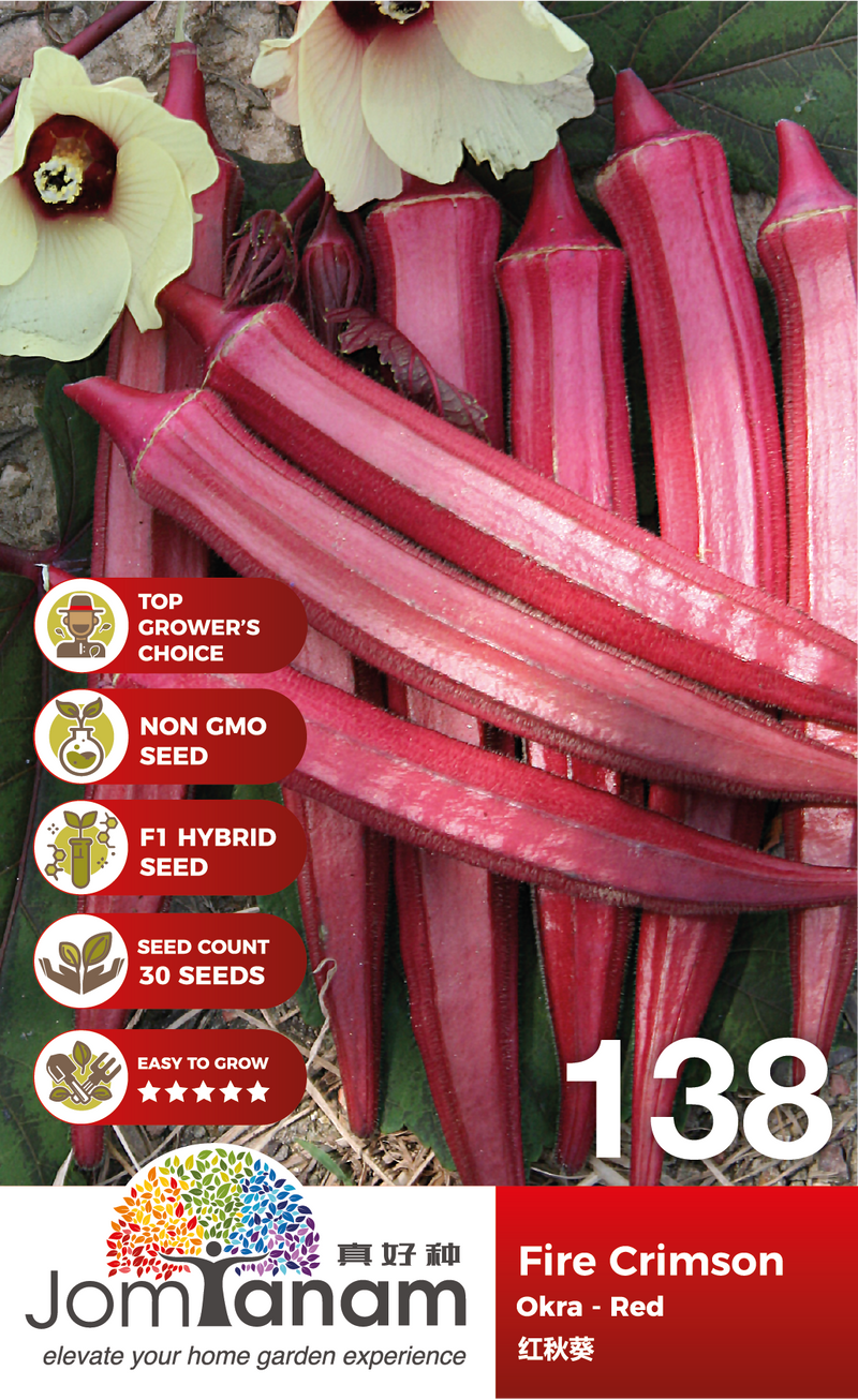 F1 Okra Red Fire Crimson 138