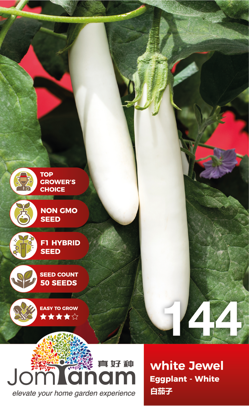 F1 Eggplant White White Jewel 144