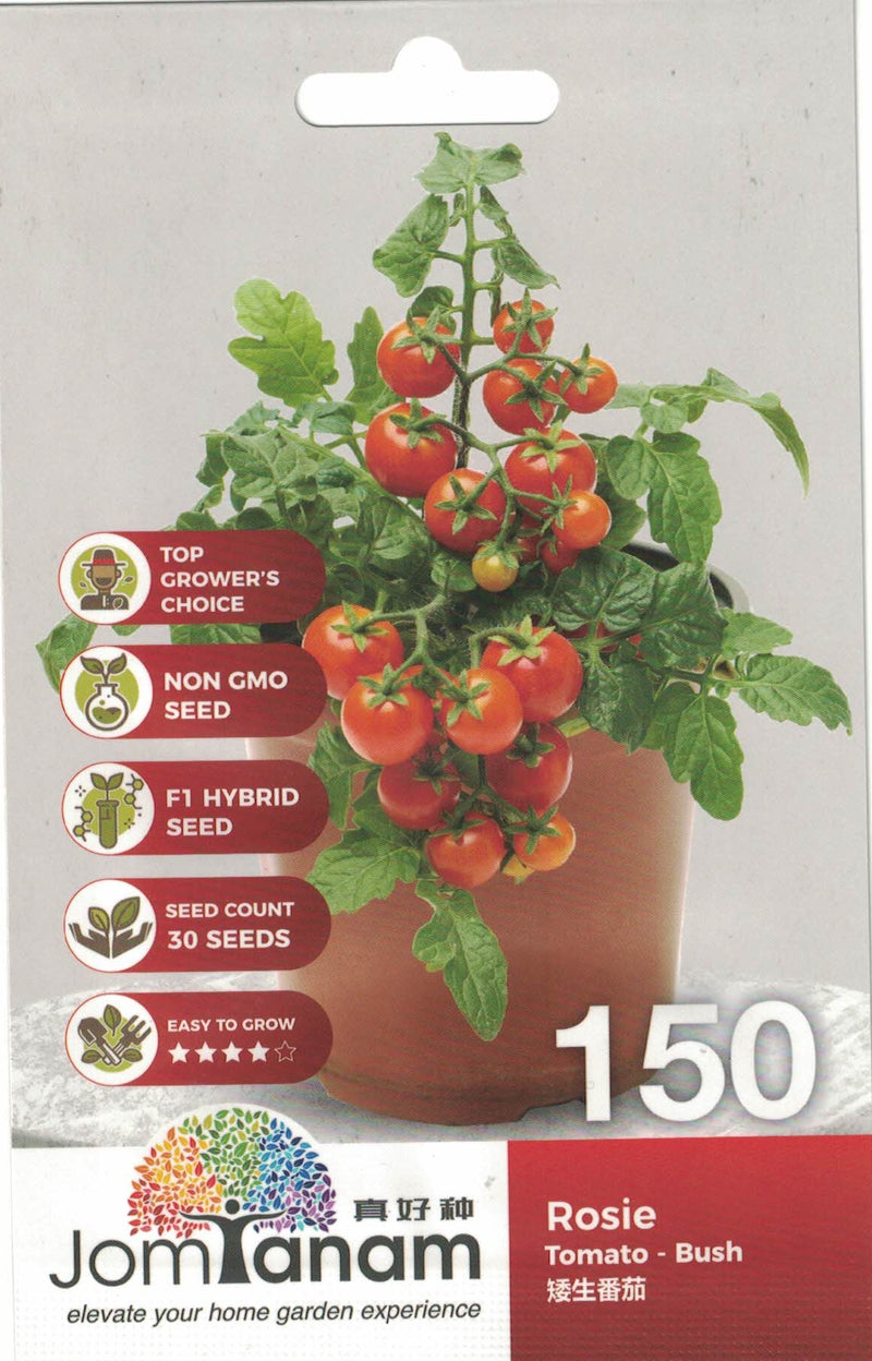 Rosie Tomato- Bush JT- 150