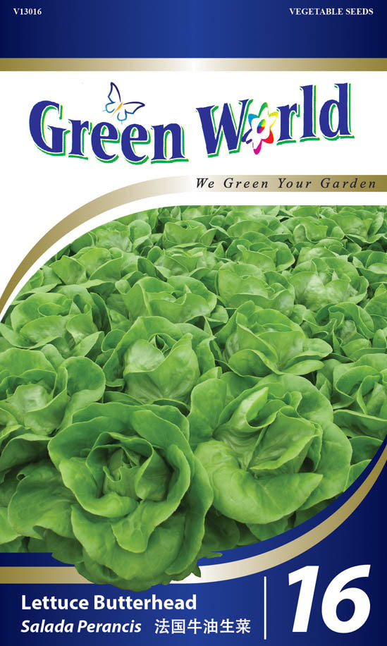 Lettuce Butterhead