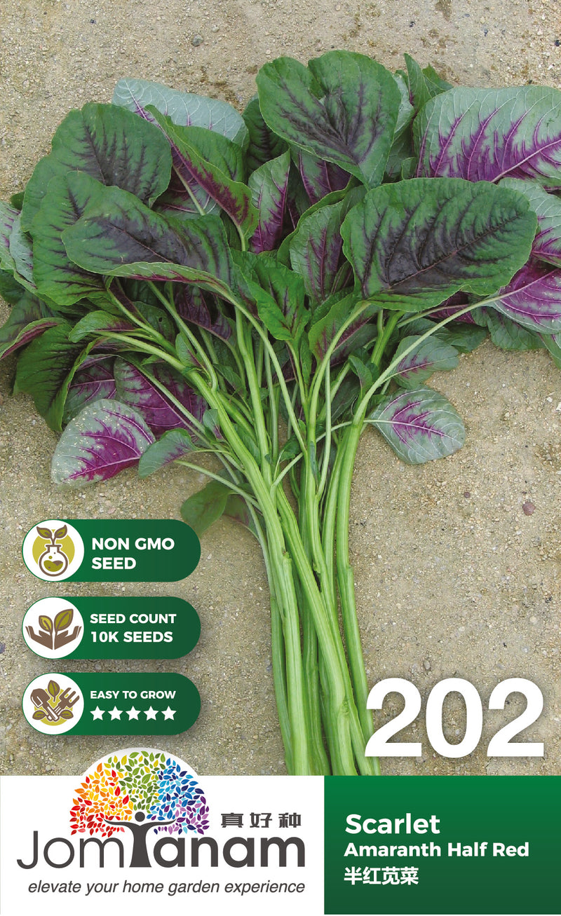 Amaranth Half Red Scarlet