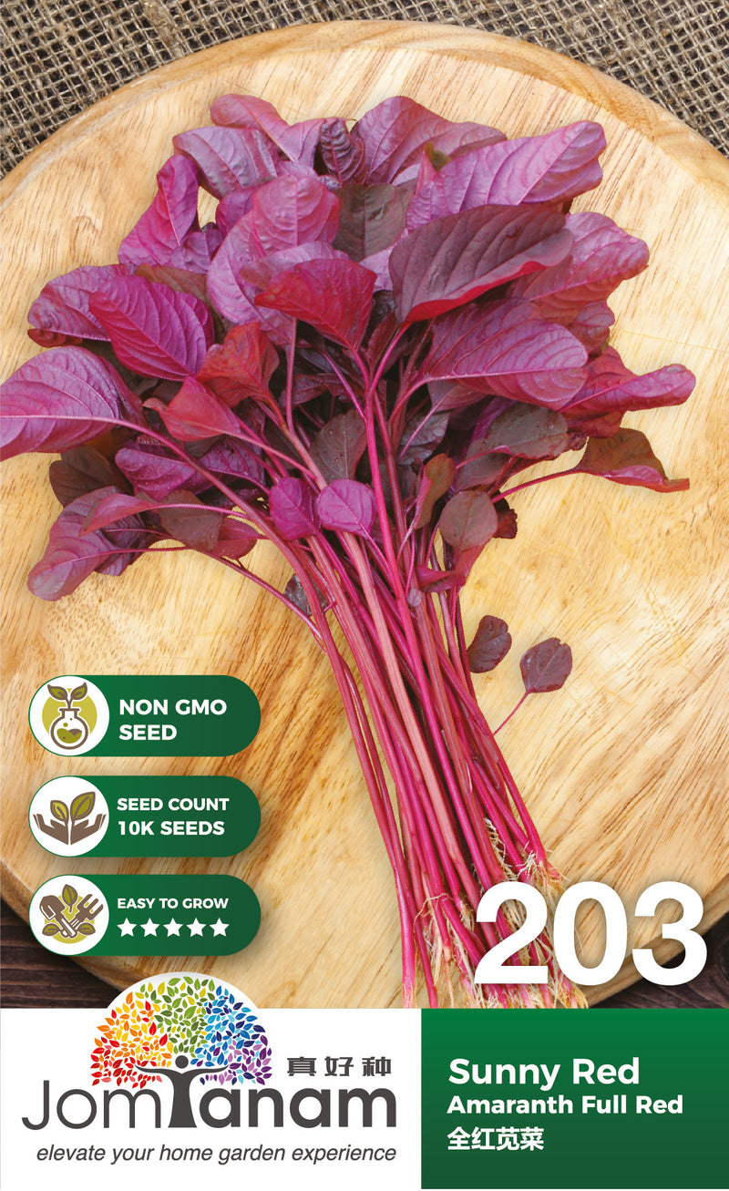 Amaranth Full Red Sunny Red