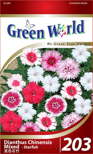 Dianthus Chinensis Mixed - Starfish Seeds