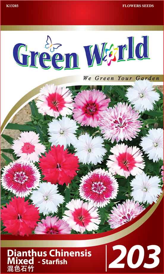 Dianthus Chinensis Mixed - Starfish Seeds