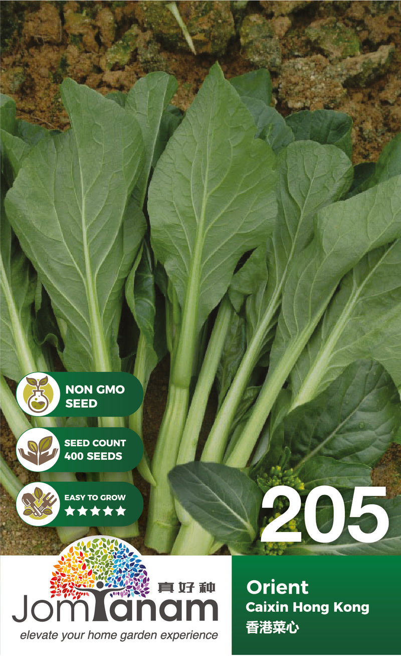 Caixin Hong Kong Orient