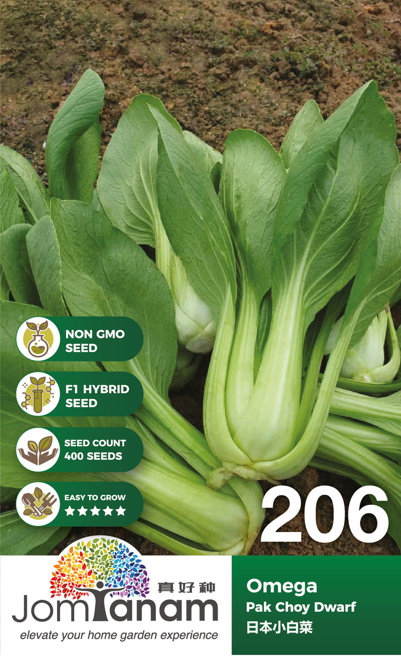 F1 Pak Choy Dwarf Omega