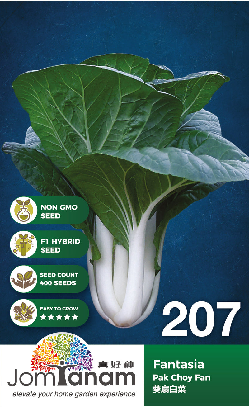 F1 Pak Choy Fan Fantasia