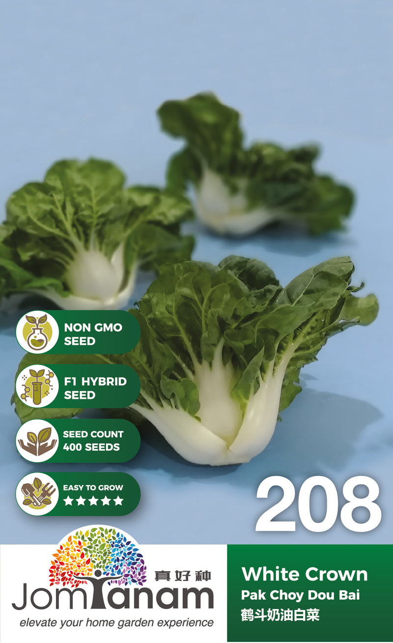 F1 Pak Choy Dou Bai White Crown