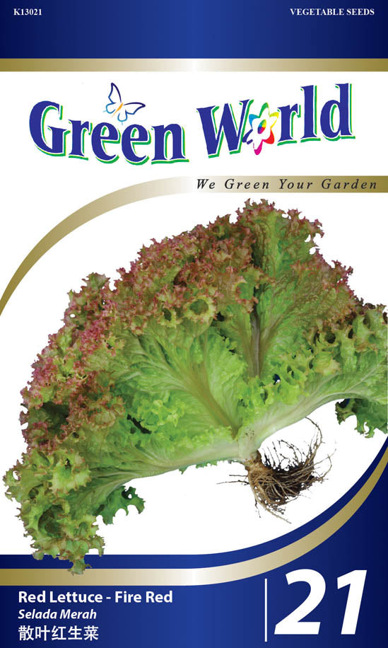Red Lettuce - Fire Red