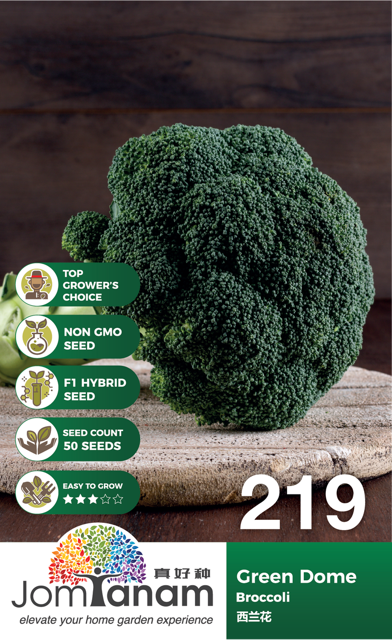 F1 Broccoli Green Dome 219