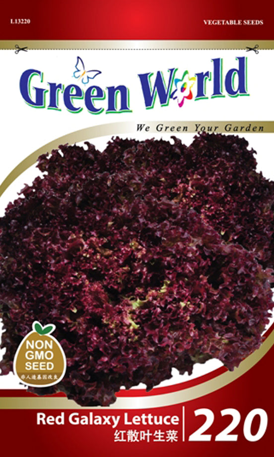 Red Galaxy Lettuce