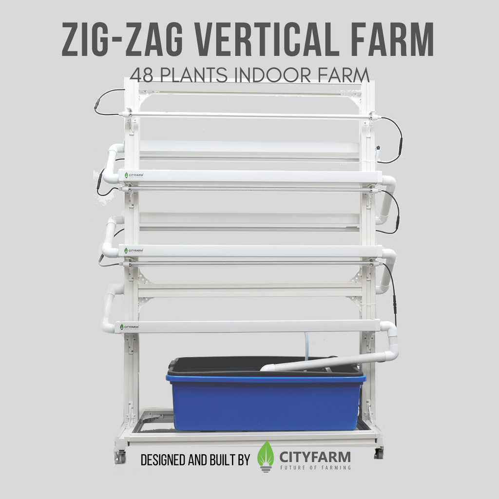 Indoor Zig-Zag Vertical Farm