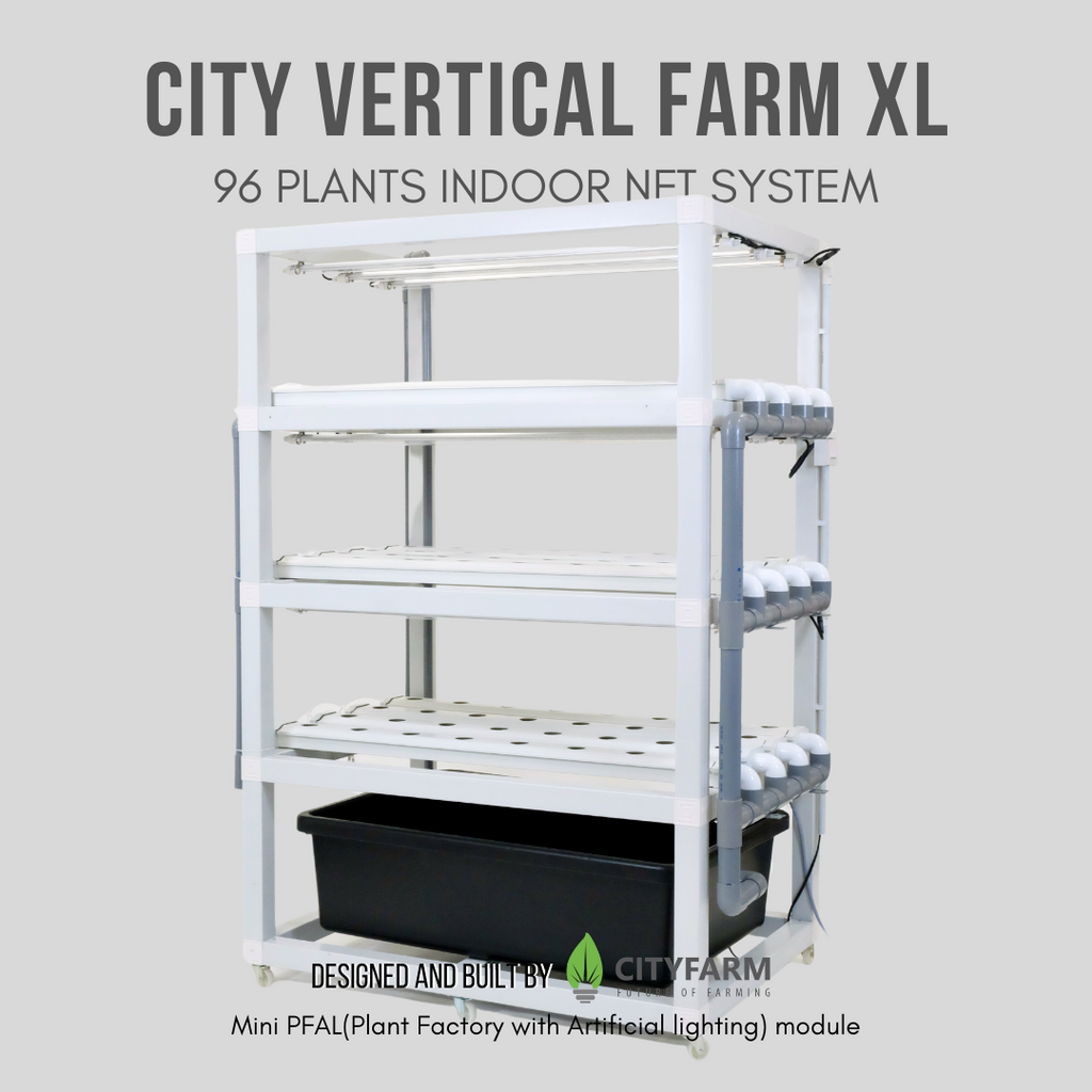 City Vertical Farm XL 2024
