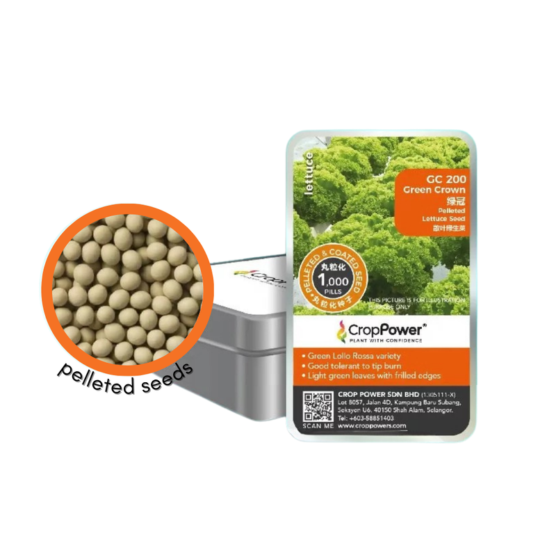 Crop Power Green Crown GC200 Green Coral Lettuce Pelleted Seeds (1000 pills)