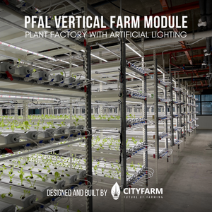 4 Level Plant Factory with Artificial Light(PFAL) Vertical Farm Module - CityFarm Malaysia - The Urban Farming Expert