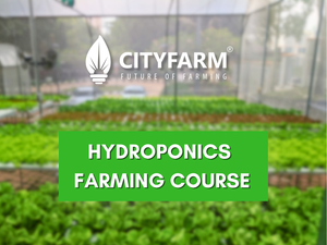 Hydroponics Farming Course with Farm Tour & Farm Set (23rd May 2026)