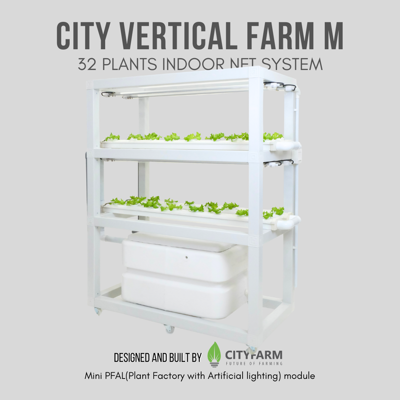 City Vertical Farm M 2024