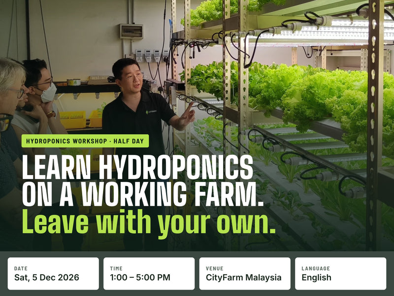 Hydroponics Urban Farming Workshop (5th December 2026)