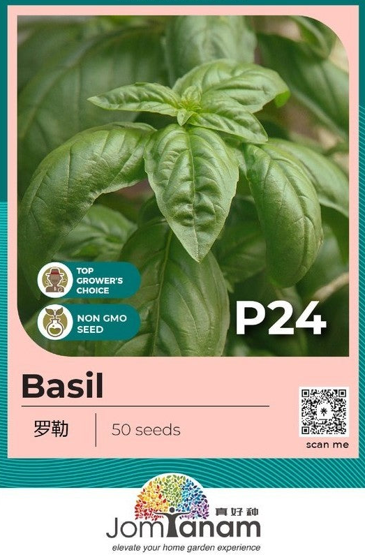 Basil Seeds P24