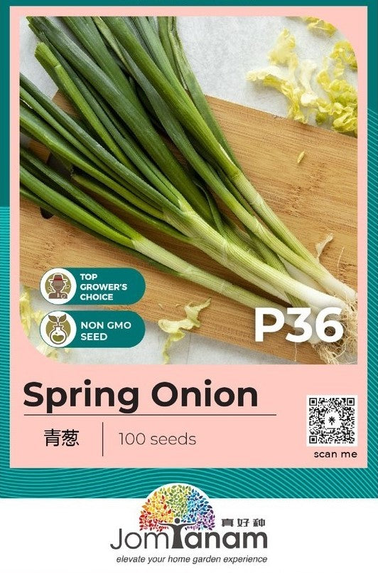 Spring Onion Seeds P36