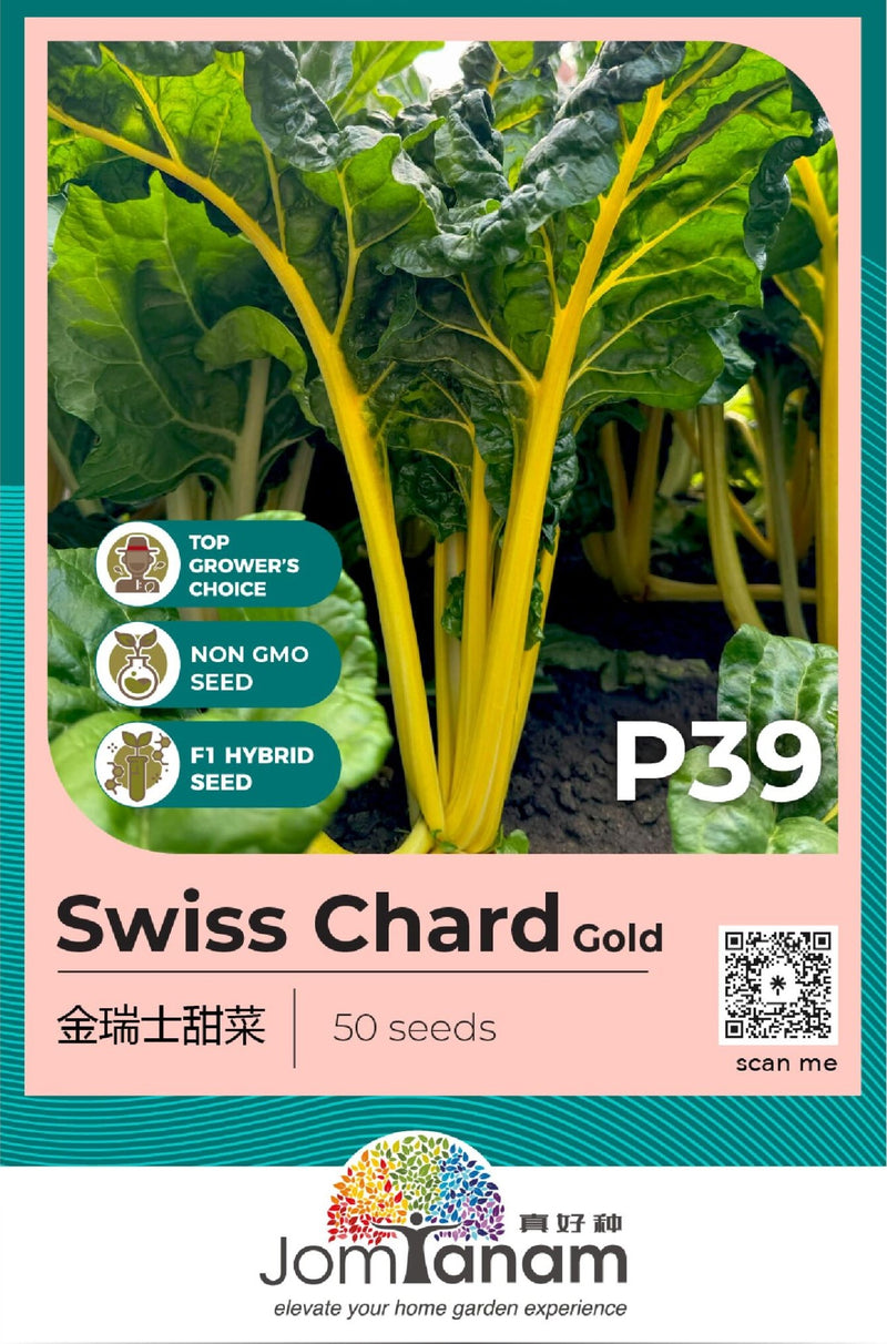 F1 Swiss Chard - Gold P39